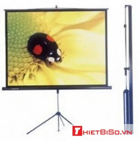 Thu&ecirc; m&agrave;n chiếu 85 inch 1,5 m&eacute;t