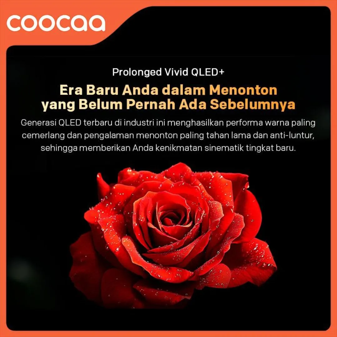 Tấm nền QLED+ 4K của Coocaa 65Y73 Pro cho dải màu rộng Màn hình QLED 4K tivi Coocaa 65Y73 Pro hiển thị màu sắc sống động