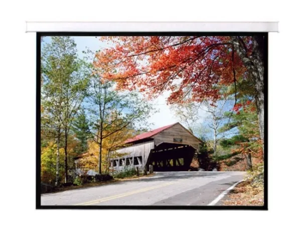 Màn chiếu treo tường 135 inch 2,44 mét
