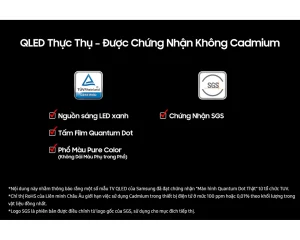Tivi Samsung QA65Q6F màu sắc rực rỡ 100% dải màu nhờ công nghệ Quantum Dot